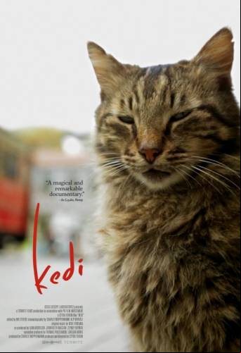 Kedi / Котки (2016)